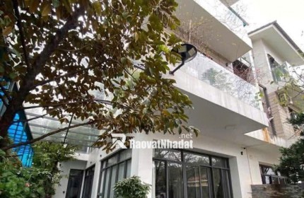 Bán biệt thự An Vượng Vila Nguyễn Thanh Bình Hà Đông diện tích 225m2x 4 tầng giá 55.5 tỷ