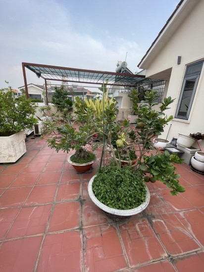 Chủ đi định cư bán gấp căn biệt thự sân vườn, 360m2, KDC Sadeco Phước Kiển, đối diện trường RMIT