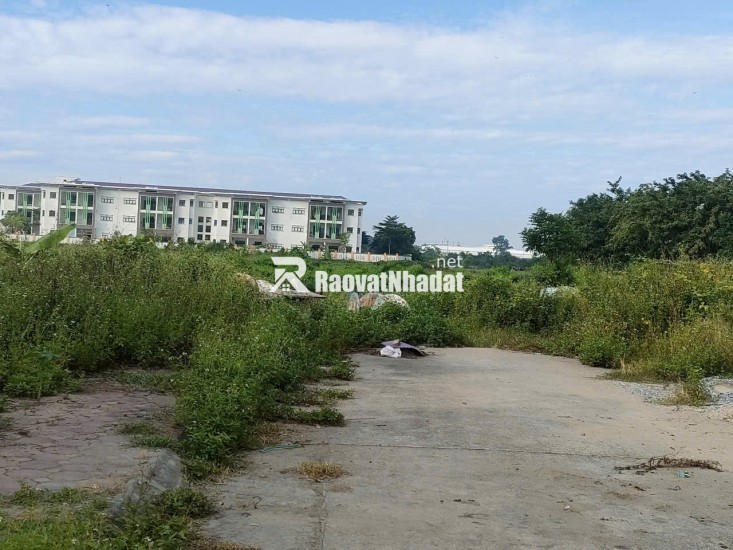 B.á.n đất đấu giá tổ 3 (Giai Lạc), xã Quang Minh, HN, DT80m, MT5m, vỉa hè, ôtô, g.i.á đầu tư 4.xtỷ, Lh 0869344682