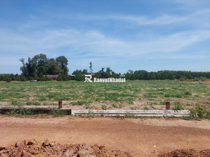 Bán đất phía sau chợ Thái Bình, 300m2 sẵn thổ cư, sổ sẵn, sang tên chỉ từ 285tr