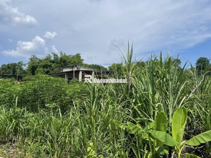 CHÍNH CHỦ CẦN BÁN ĐẤT GẦN 1,7HA CÓ 400M² THỔ CƯ – NHÀ CẤP 4 SẴN – MẶT TIỀN KHỦNG 91M- LỘC NINH - BÌNH PHƯỚC