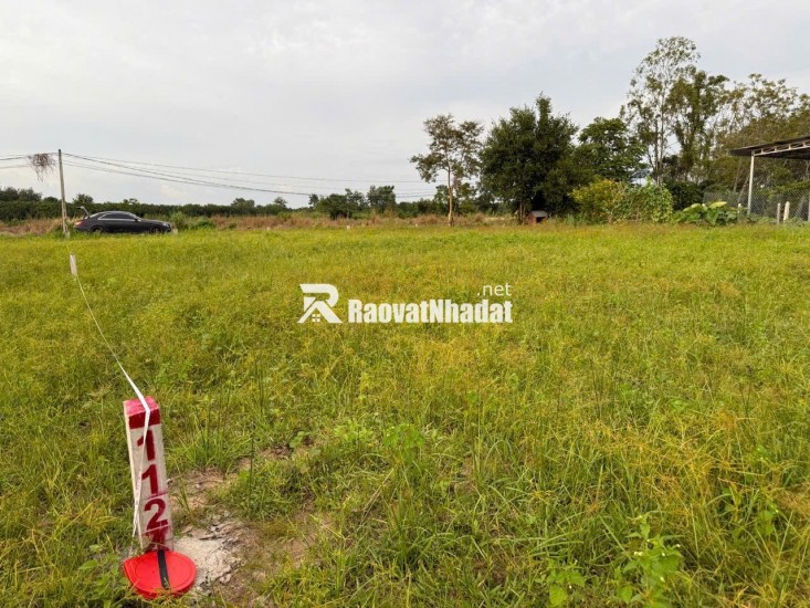 Đất ven DT784 – Tâm điểm đầu tư sinh lời tại Gò Dầu, Tây Ninh!