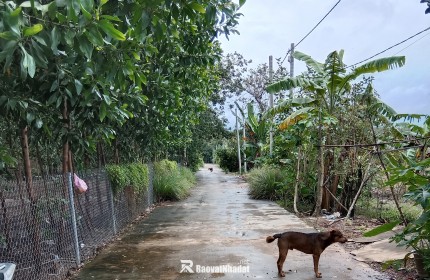Bán đất chính chủ tại Chơn Thành, BP, sổ sẵn công chứng sang tên ngay