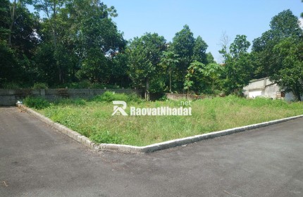 Bán gấp đất tại Xuân Khanh, Sơn tây 110m2 MT 7m, giá rẻ mua ngay có lãi liền tay.