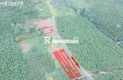 CẦN BÁN ĐẤT LỘC NGÃI – BẢO LỘC, LÂM ĐỒNG mkt49