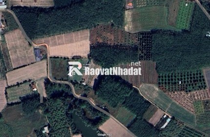 BÁN ĐẤT NỀN GIÁ RẺ –200TR TRUNG TÂM XÃ BẦU ĐỒN, GÒ DẦU, TÂY NINH