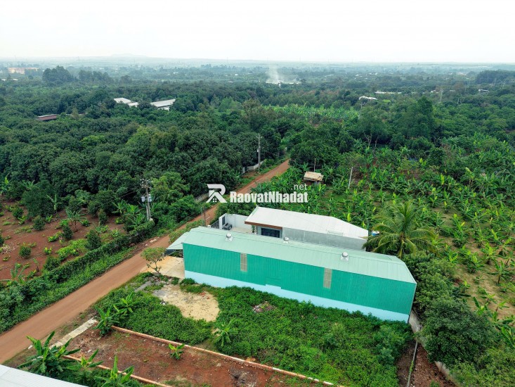 BÁN ĐẤT MẶT TIỀN NGUYỄN THẾ TOÀN – GIÁ TỐT, SỔ RIÊNG