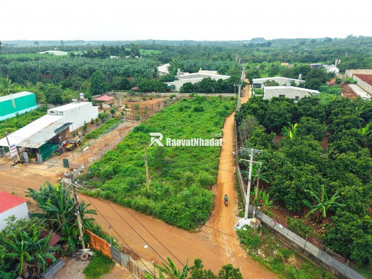 BÁN ĐẤT MẶT TIỀN NGUYỄN THẾ TOÀN – GIÁ TỐT, SỔ RIÊNG