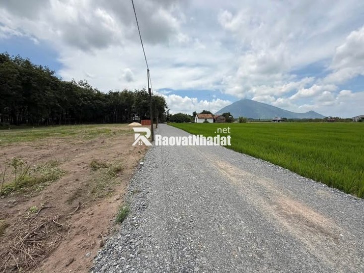 Cơ Hội Sinh Lời Từ Đất Nền Dương Minh Châu – Tây Ninh