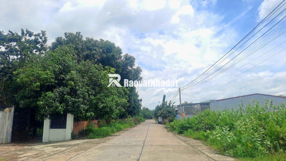 Bán nhanh 4 lô liền kề tại trục chính đại hiệp giáp hoà khương