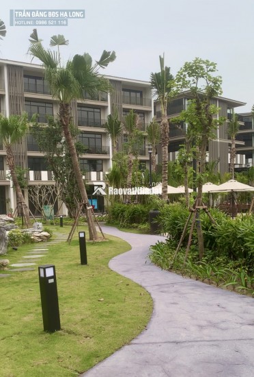 Biệt thự liền kề ven biển Hạ Long DT 120m2, MT 6m giá đang rất rẻ chỉ 18tỷ/căn.