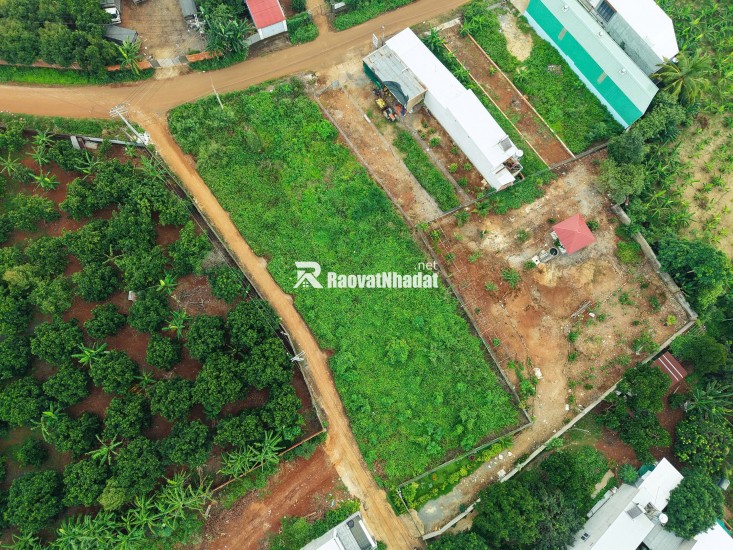 BÁN ĐẤT MẶT TIỀN NGUYỄN THẾ TOÀN – GIÁ TỐT, SỔ RIÊNG