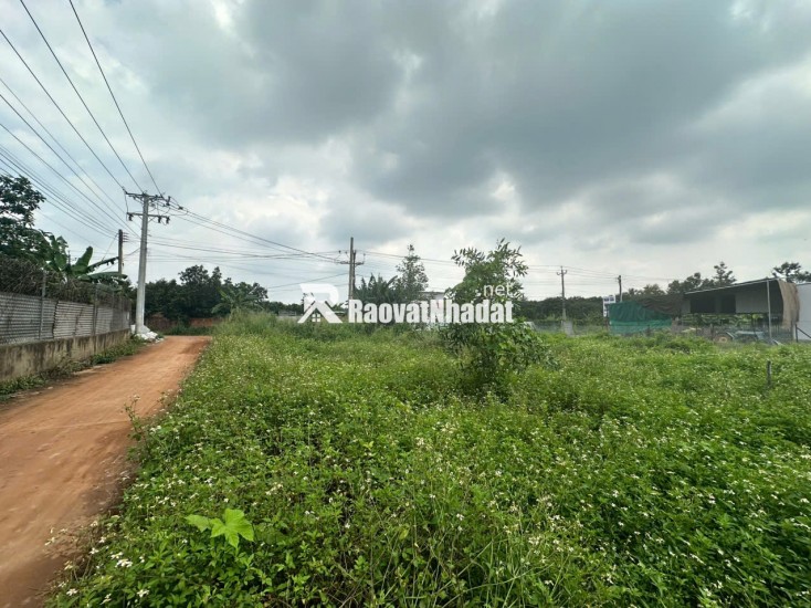 BÁN ĐẤT MẶT TIỀN NGUYỄN THẾ TOÀN – GIÁ TỐT, SỔ RIÊNG