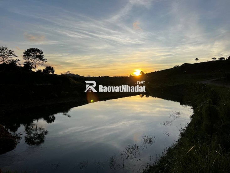 Sở hữu lô đất 341.4 m² đất đồi view siêu đẹp – vị trí đắt giá trên trục Lý Thái Tổ Lộc Tân, cơ hội sinh lời bền vững