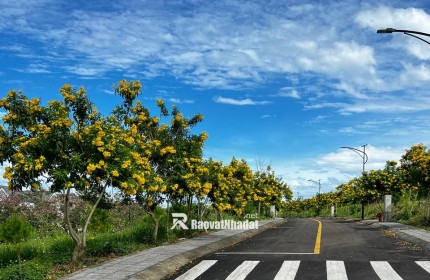 Chỉ hơn 1,5 tỷ – Sở hữu ngay lô đất biệt thự sinh thái TP. Bảo Lộc, KDC hiện hữu, SHR -100% Thổ cư