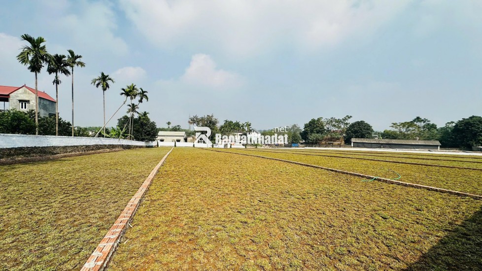 Bán đất nền LÕI KCN NHUẬN TRẠCH và Trung Tâm NGHỈ DƯỠNG tại Cư Yên, Lương Sơn, Hoà Bình.