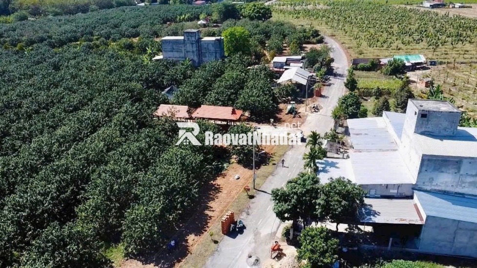 Đất vườn bưởi tại Trừ Văn Thố, huyện Bàu Bàng, tỉnh Bình Dương. Lô đất có diện tích 250m², nằm trong khu dân cư hiện hữu, không gian yên tĩnh, phù hợp xây nhà vườn, an cư lâu dài hoặc đầu tư sinh thái.