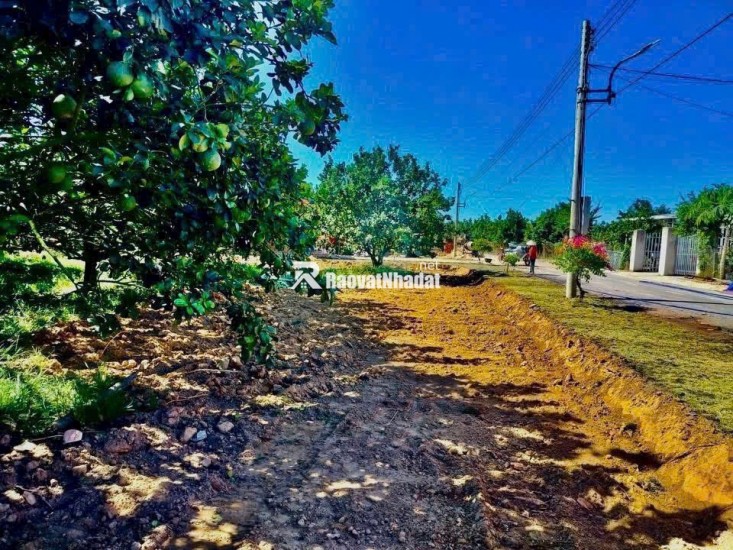 Đất vườn bưởi tại Trừ Văn Thố, huyện Bàu Bàng, tỉnh Bình Dương. Lô đất có diện tích 250m², nằm trong khu dân cư hiện hữu, không gian yên tĩnh, phù hợp xây nhà vườn, an cư lâu dài hoặc đầu tư sinh thái.