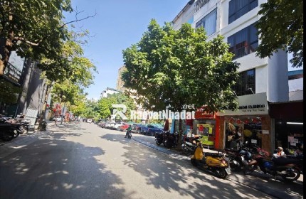 BÁN NHÀ PHƯỜNG LIỄU GIAI , BA ĐÌNH , QUẬN VÙNG LÕI TRUNG TÂM