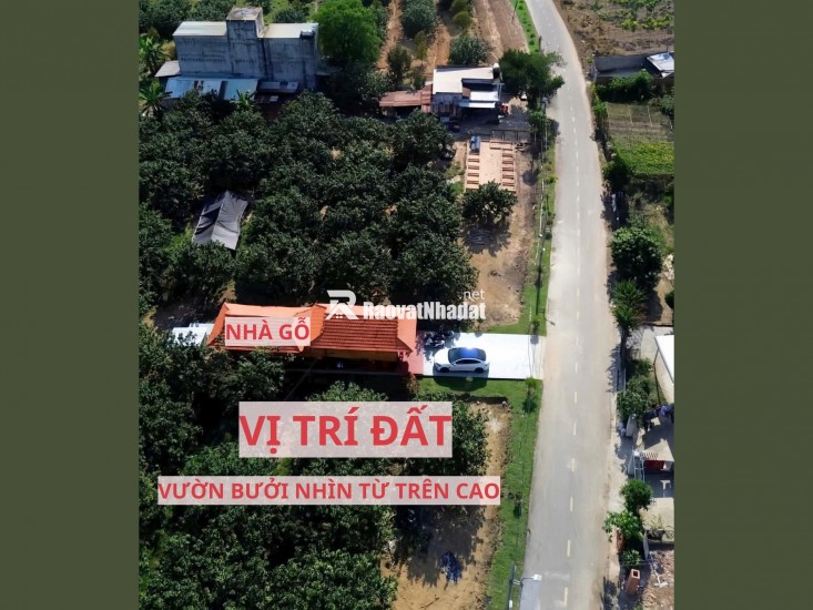 ĐẤT VƯỜN BƯỞI BÌNH DƯƠNG 263M² – CÓ THỔ CƯ, GIÁ 950TR