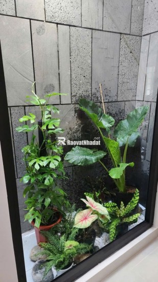 Bán nhà nát tặng GPXD HXH Quang Trung thông thương ngang 4m 56m2 tiện xây siêu phẩm chỉ 5.6 tỷ.