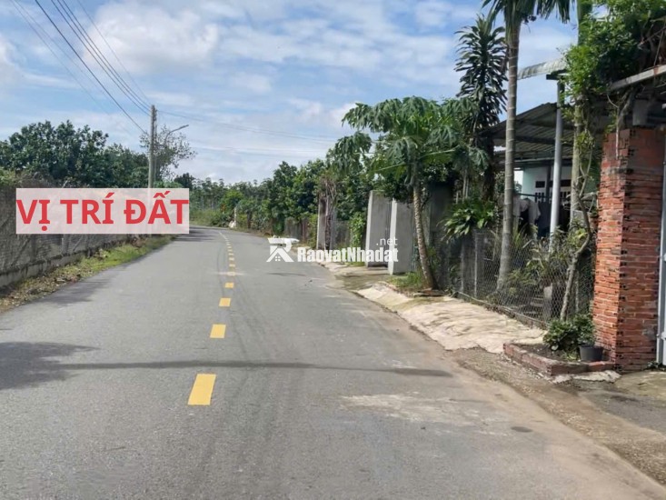 Bán đất mặt tiền đường nhựa có sẵn vườn bưởi tại Trừ Văn Thố Bàu Bàng Bình Dương