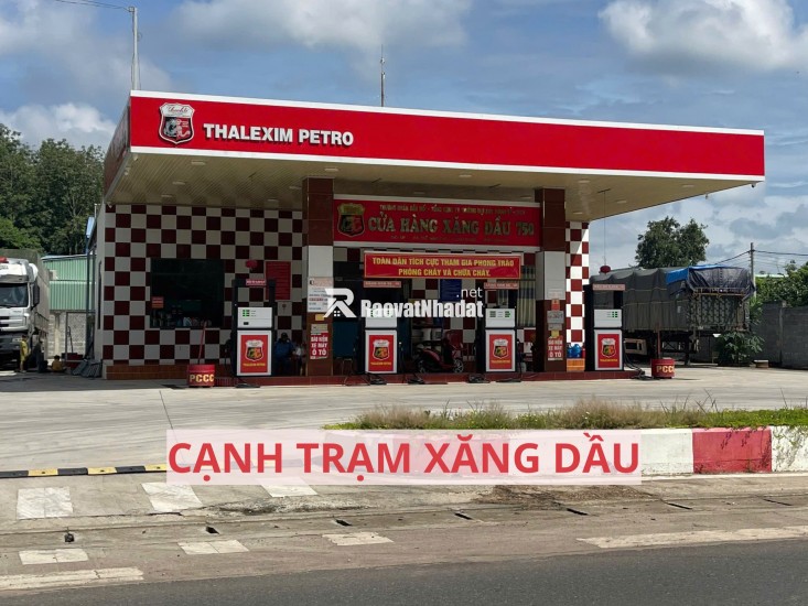 Bán đất mặt tiền đường nhựa có sẵn vườn bưởi tại Trừ Văn Thố Bàu Bàng Bình Dương