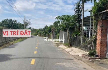Bán đất mặt tiền đường nhựa có sẵn vườn bưởi tại Trừ Văn Thố Bàu Bàng Bình Dương