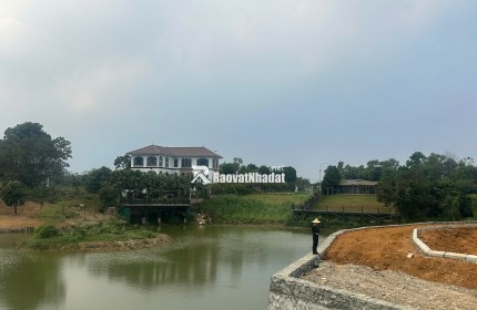 BÁN MẢNH TRỤC CHÍNH KINH DOANH, XUNG QUANH DÂN CƯ ĐÔNG ĐÚC XẦM UẤT.