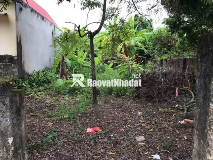 CHÍNH CHỦ CẦN BÁN LÔ ĐẤT ĐẸP – TIỀM NĂNG TĂNG GIÁ CAO TẠI ĐỒNG LIÊN, THÁI NGUYÊN