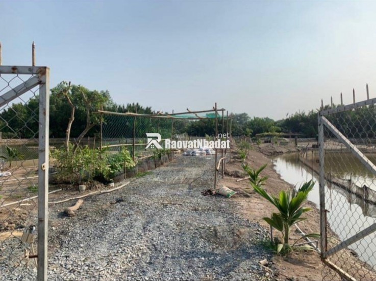 Bán lô đất thổ phân lô mặt tiền đê bao giá 7,5 tỷ