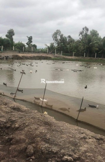 Bán lô đất thổ phân lô mặt tiền đê bao giá 7,5 tỷ