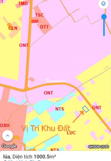 Bán gấp lô lúa xã Nhựt Ninh giá 550 triệu