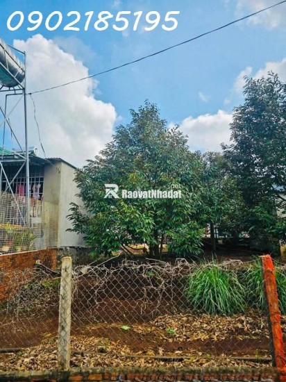 LÔ ĐẤT SỔ ĐỎ THỔ CƯ – PHƯỜNG TÂN LỢI – BUÔN MA THUỘT, CÁCH TRƯỜNG ĐẠI HỌC Y DƯỢC BUÔN MA THUỘT 4 km = 780 triệu