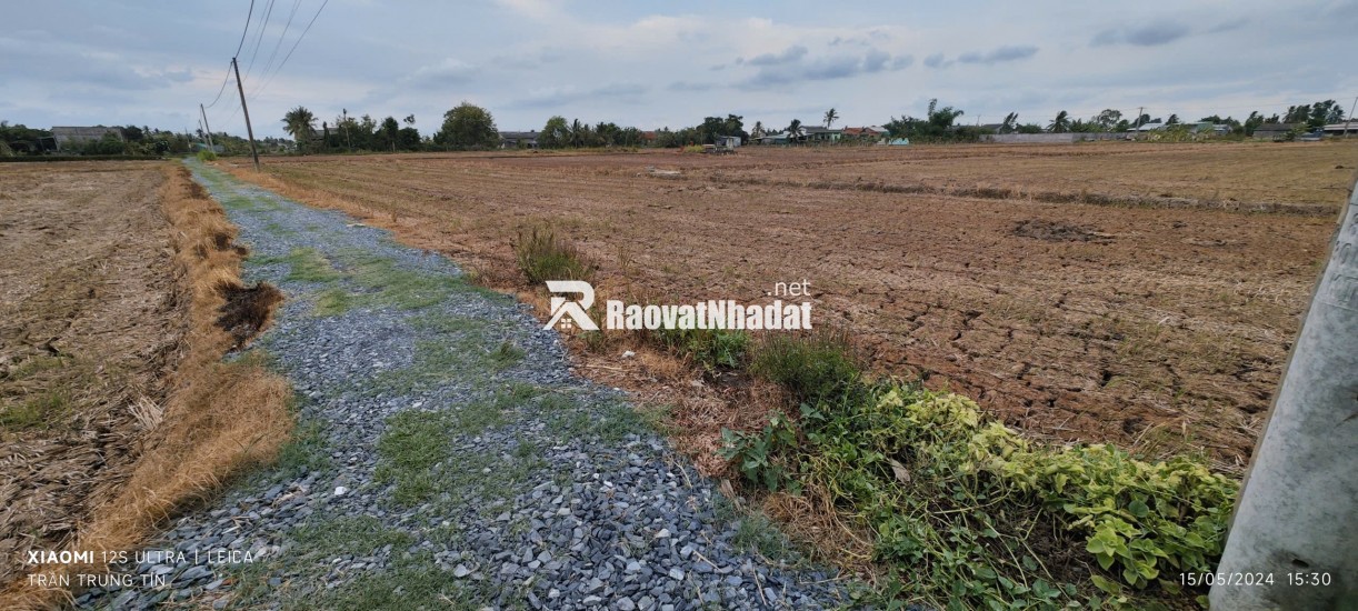 Bán gấp lô đất lúa hai mặt tiền xã Đức Tân giá 800 triệu