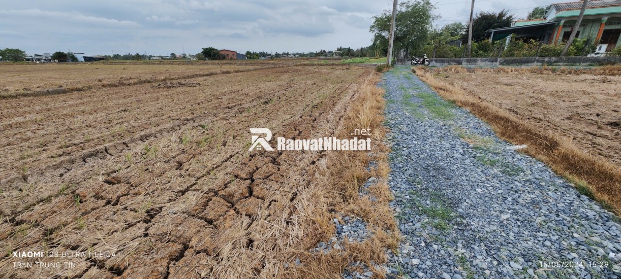 Bán gấp lô đất lúa hai mặt tiền xã Đức Tân giá 800 triệu