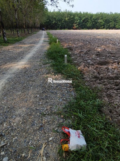 Đất nền chợ An Cơ 310 Triệu 200m2 Full thổ cư