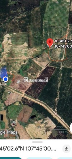 BÁN ĐẤT VƯỜN GIÁ TỐT – SỔ RIÊNG – HÀM TÂN, BÌNH THUẬN