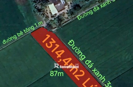 Bán gấp lô đất lúa hai mặt tiền xã Đức Tân giá 800 triệu