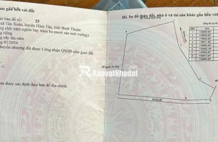 BÁN ĐẤT VƯỜN GIÁ TỐT – SỔ RIÊNG – HÀM TÂN, BÌNH THUẬN