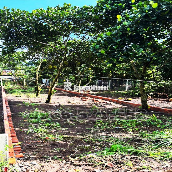 210m² THỔ CƯ, NGAY CHỢ HÀM NGHI – TP LONG KHÁNH – ĐN. CƠ HỘI X2,3 TÀI SẢN.