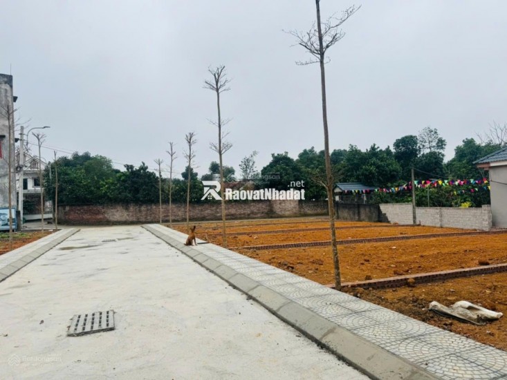 Bán lô góc chợ Phú Cát, tâm điểm hạ tầng đón sóng Metro 5 Hòa Lạc