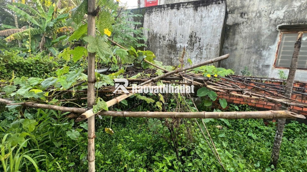 LÔ ĐẤT TIỀM NĂNG TẠI BÌNH NHÂM THUẬN AN. 10X15 SẴN SỔ, CHỈ 4.3TỶ. LH:0399058768