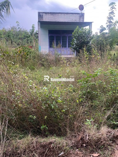 Chính chủ cần bán gấp 542m2 gần trung tâm Định Hiệp