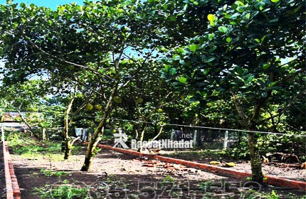 210m² THỔ CƯ, NGAY CHỢ HÀM NGHI – TP LONG KHÁNH – ĐN. CƠ HỘI X2,3 TÀI SẢN.