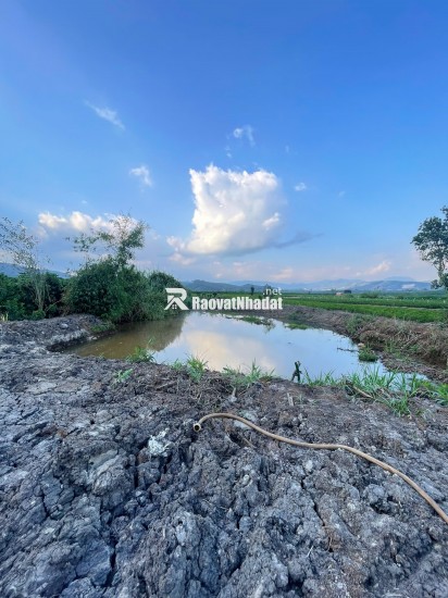 CHÍNH CHỦ CẦN BÁN 5 SÀO ĐẤT THANH BÌNH