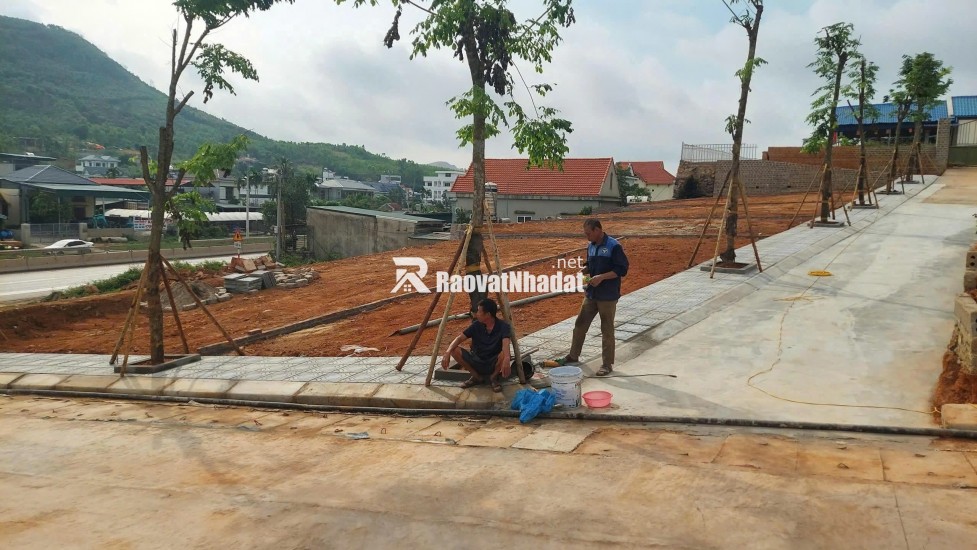  ĐẤT GIÁP VIN HẠ LONG XANH GIÁ 35TR/M² – CÒN RẺ HƠN NHIỀU SO VỚI GIÁ TRỊ THỰC?