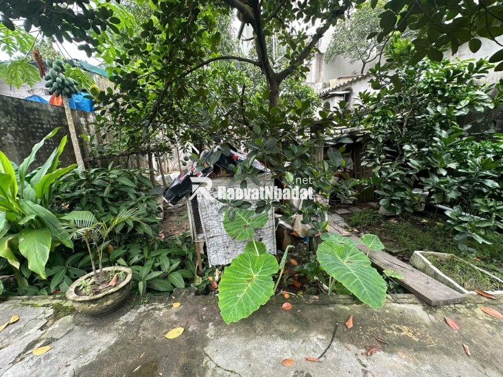 Chỉ #2,3 tỷ có ngay 1 lô tại Thôn Đoài, Việt Hùng, Đông Anh. 52m2