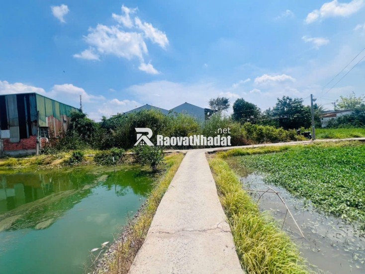 CHỦ ĐẤT CẦN BÁN  GẤP 2 MIẾNG ĐẤT BÌNH CHÁNH ẤP 3 TÂN QÚI TÂY. LH:0909304773.