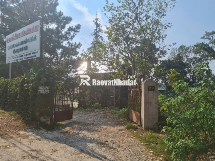 BIỆT THỰ PHÁP CỔ TTTP ĐÀ LẠT 1800M2 PHÁP LÝ RÕ RÀNG 75 TỶ. LH:0909267003.